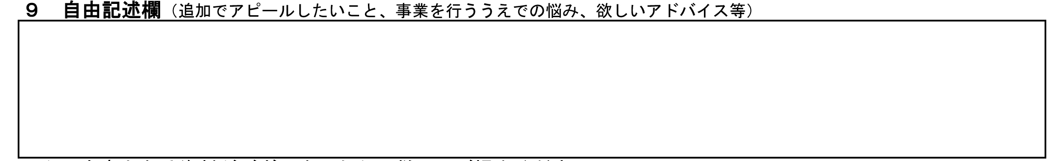 創業計画書見本：自由記述欄